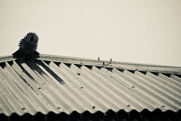 istock Tin shed rooftop of a traditional house 1078107906