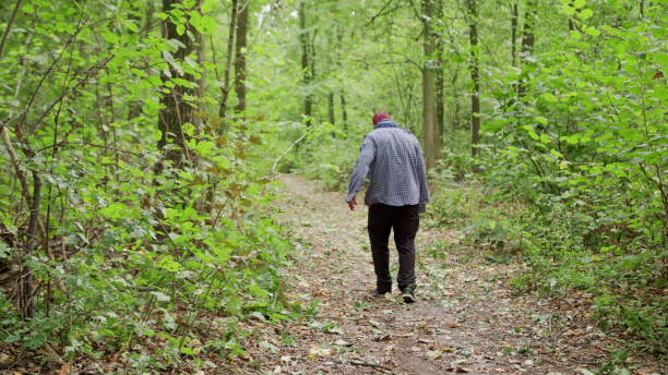 istock Zombies are walking through the woods. 1078110878