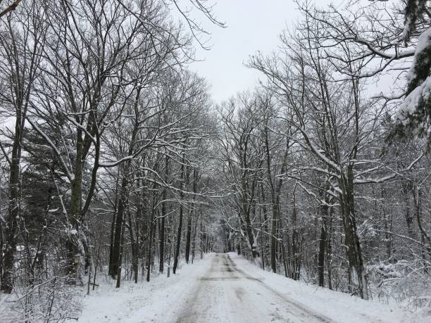istock Snow falls on a freshly plowed country road 1078116230