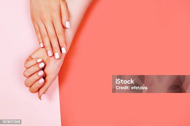 Stylish Trendy Female Manicure Stock Photo - Download Image Now - Fingernail, Manicure, Beauty