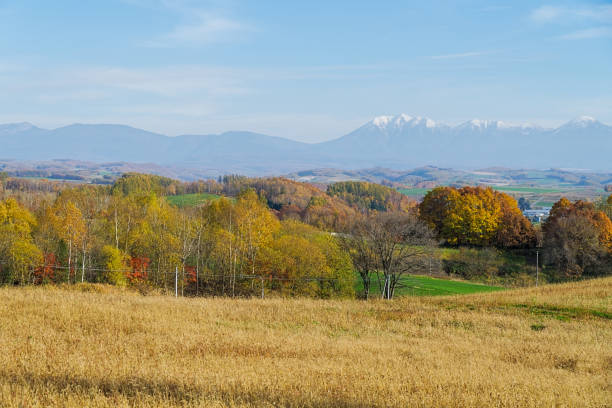 istock Biei in autumn, Hokkaido, Japan 1078117828