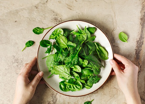 Woman's hands holding a plate with fresh spinach, top view