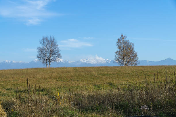 istock Biei in autumn, Hokkaido, Japan 1078123290