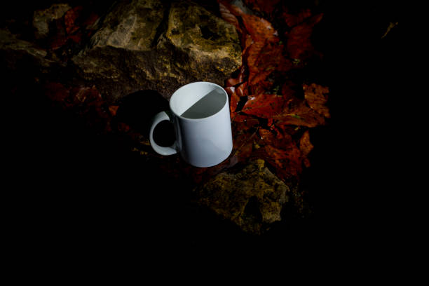 istock Coffee cup among the leaves 1078129662