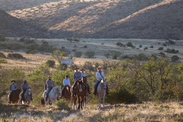 istock Early morning cattle herding on horseback 1078130062