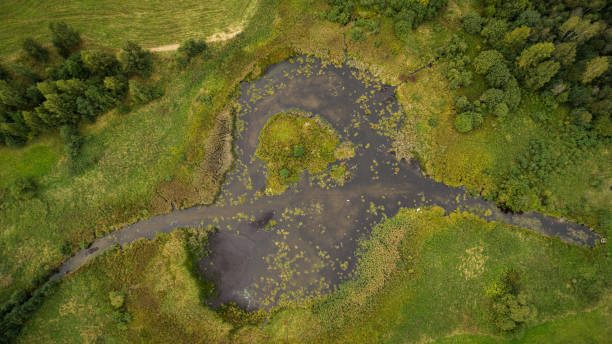 istock Drone view of river and swamp during summer day 1078131298