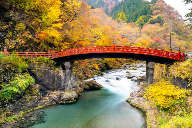 istock shinkyo bridge with yellow leaf 1078136350