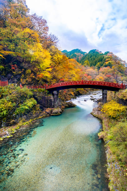 ponte shinkyo com folha amarela - nikko national park - fotografias e filmes do acervo