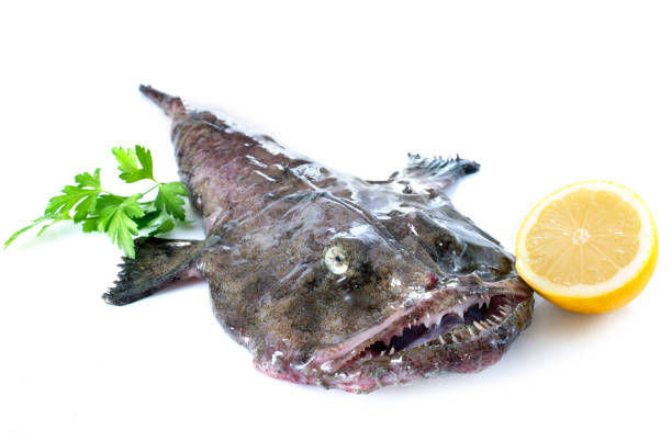 istock picture of monkfish 1078143214