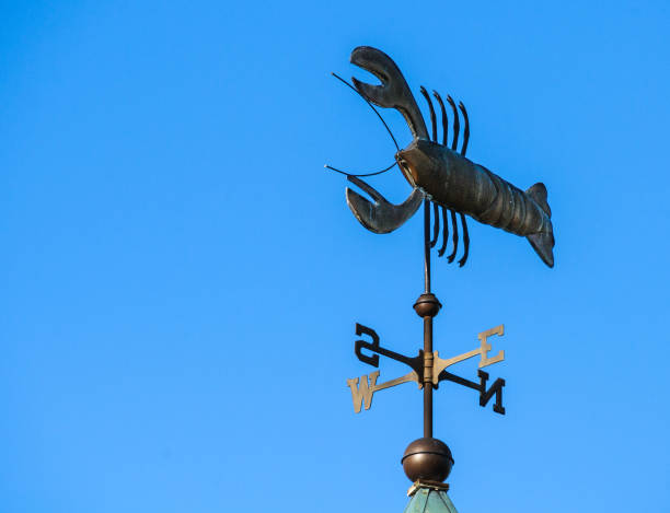 istock Lobster Weather Vane 1078148952
