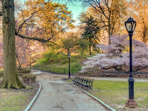 istock Central Park, New York City in spring 1078149212