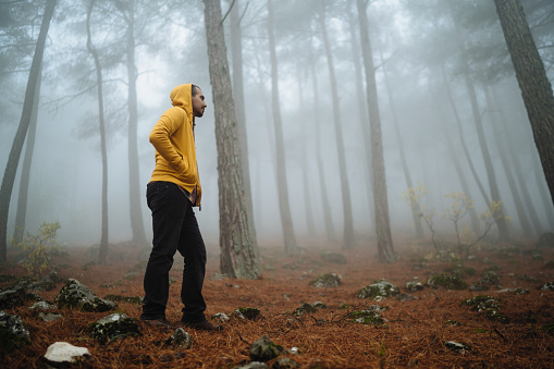 Man walking in the foggy forest