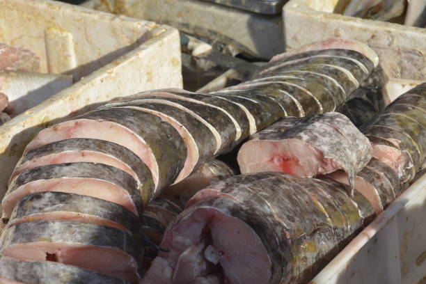 istock Sliced fish on the butcher's table 1078161542