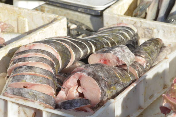 istock Sliced fish on the butcher's table 1078161558