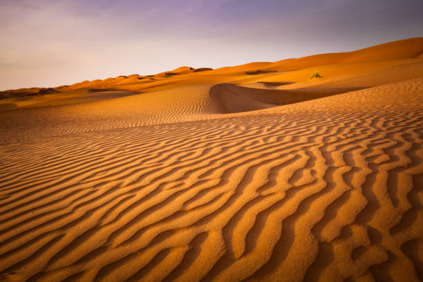 istock desert, sultanate of oman 1078162318