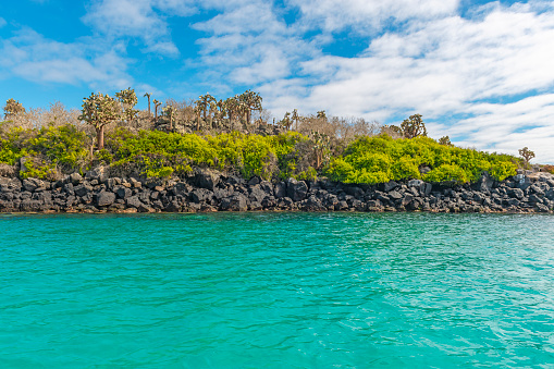 Landscape of the Galapagos Islands national park with turquoise blue waters of the Pacific Ocean and Opuntia cactus, Ecuador.