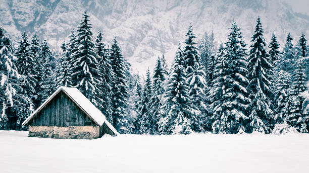 istock Snowfall in the italian alps 1078162444