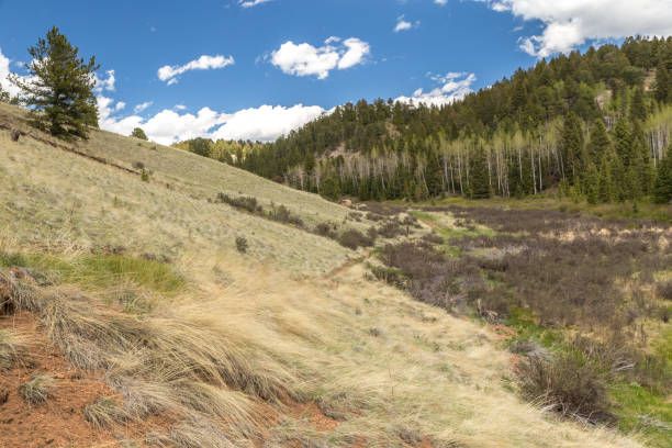 istock Hiking Trail in the Rocky Mountains 1078162682