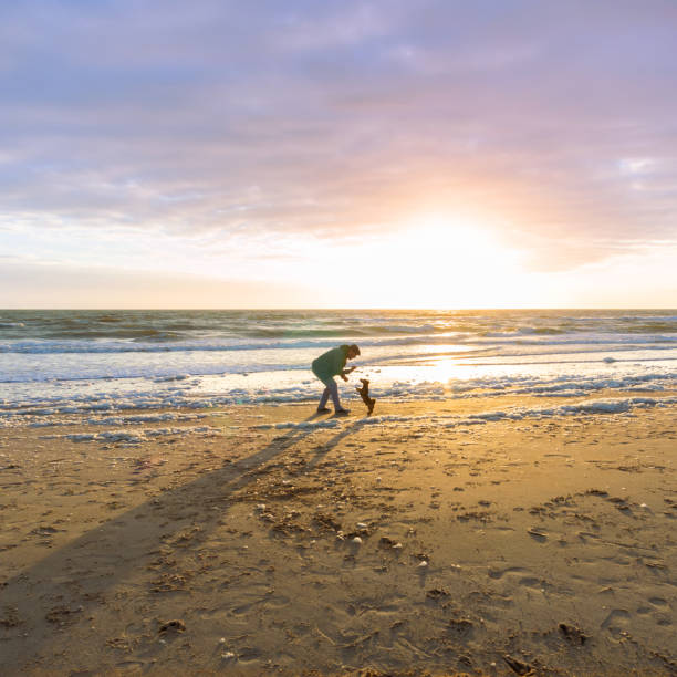 Man and his dog playing at the beach.