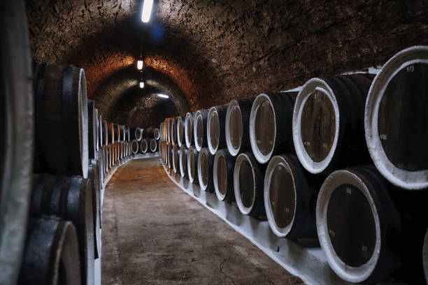istock Old oak wine barrels in the winery 1078166648