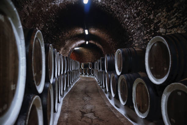 istock Old oak wine barrels in the winery 1078167160