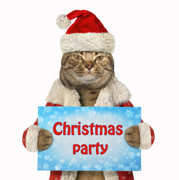 istock Cat Santa holds the sign 1078168790