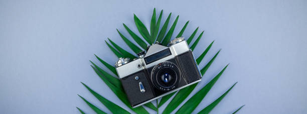 istock Tropical palm leaf and old photo camera background 1078181232