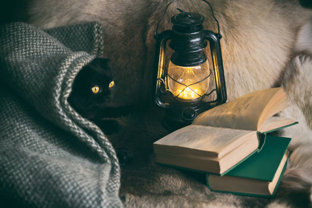 istock still life with lamp, book, plaid, cat 1078183250