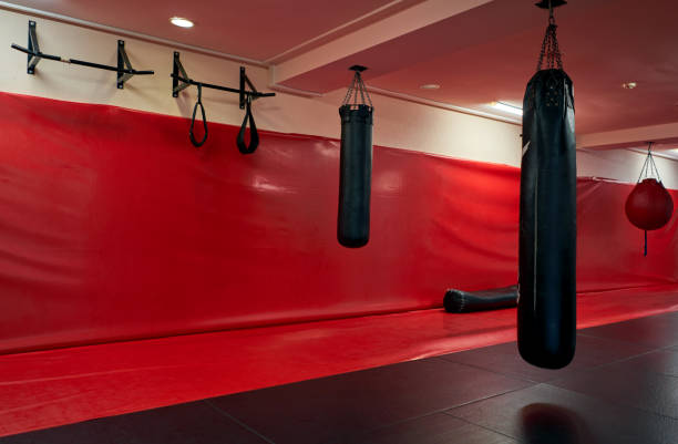istock hall with Boxing bags 1078186822