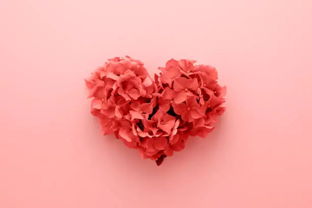 Living Coral color of the Year 2019. Heart shape made of flowers abstract background. Gradient color palette. Love fashion"n