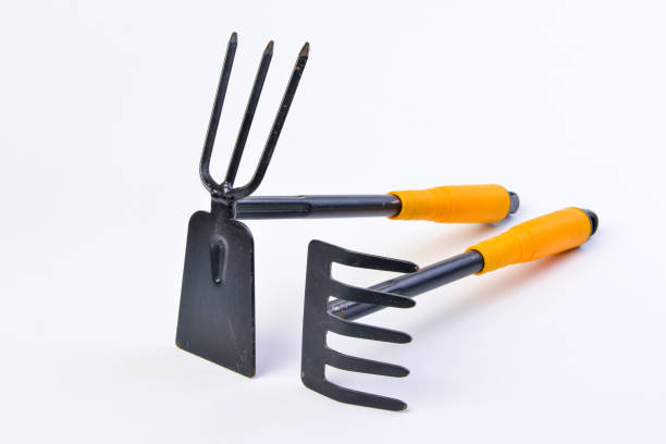 istock Gardening shovel and fork isolated . 1078218498