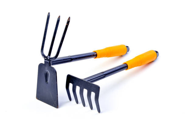 Gardening shovel and fork isolated . Gardening shovel and fork isolated . garden fork stock pictures, royalty-free photos & images