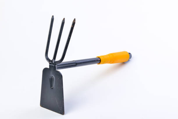 Gardening shovel and fork isolated .