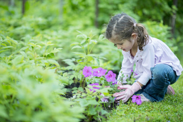 istock Little girl gardening 1078226828