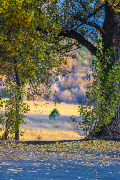 Nature Hiking Trail stock photo