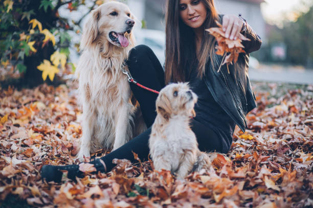 istock One beautiful day with my dog! 1078243116