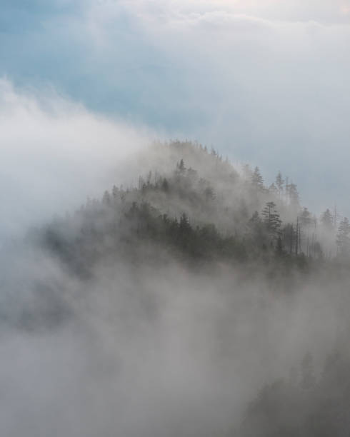 istock Great Smoky Mountains National Park 1078243702