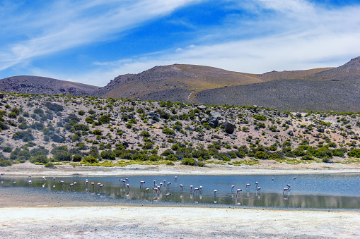 Taken by Canon 60D during a trip in the Atacama desert.