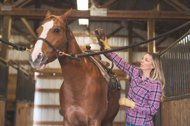 istock Woman preparing to take her horse out riding 1078252012