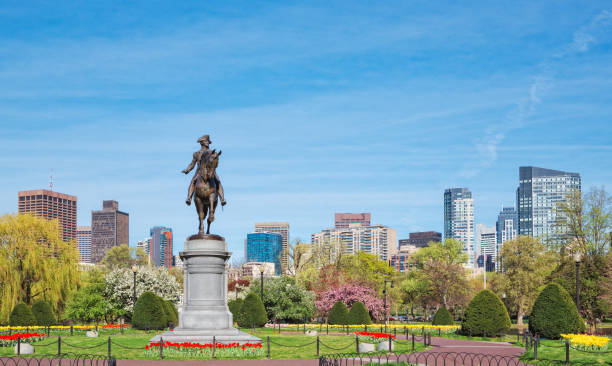 ボストン パブリック ガーデン - boston public garden ストックフォトと画像