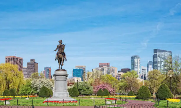 Photo of Boston Public Garden