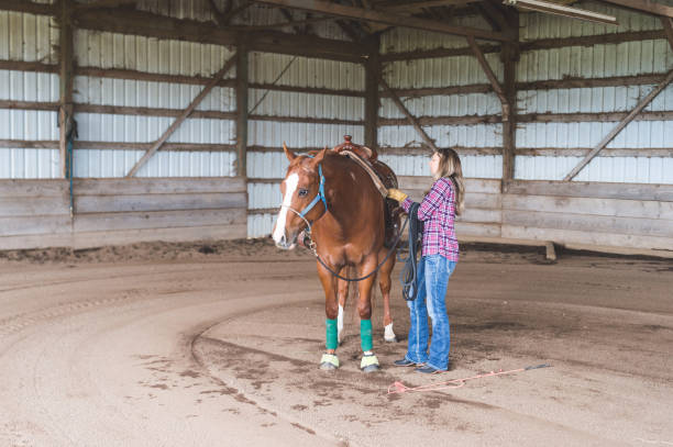 istock Woman training her horse in the barn 1078258248