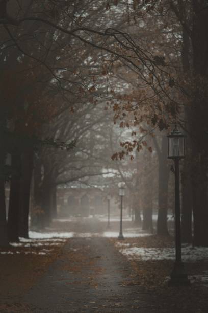istock Park Walking Path Lined with Streetlamps, Tree Branch Canopy, Fall Leaves 1078263778