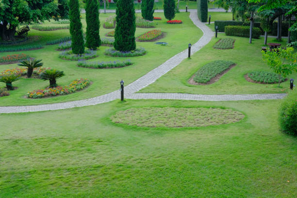 istock stone path walkway in  garden 1078265760