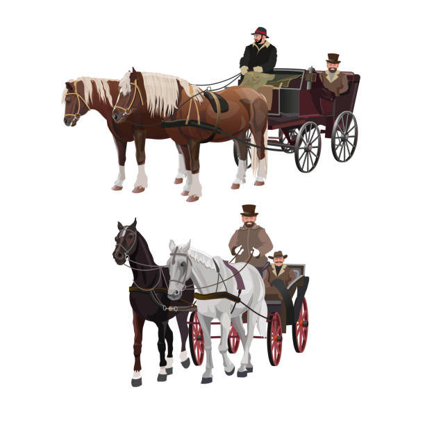 ilustraciones, imágenes clip art, dibujos animados e iconos de stock de caballos - teamsters