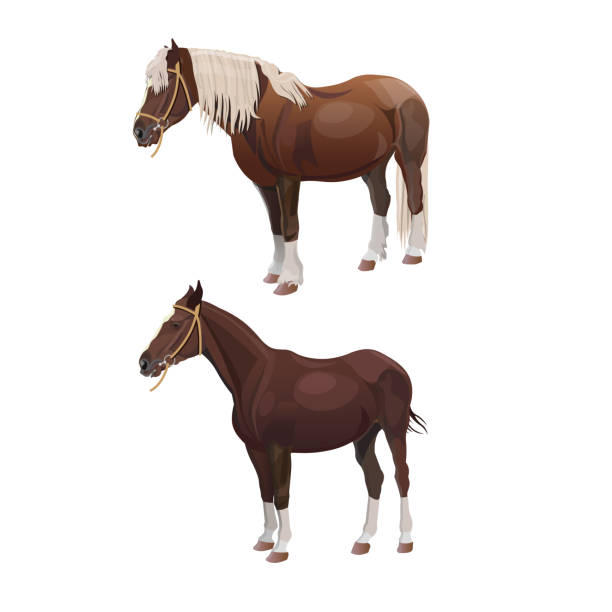 Workhorse Vector Workhorse Truck Stock Photos, Pictures & Royalty-Free Images - iStock