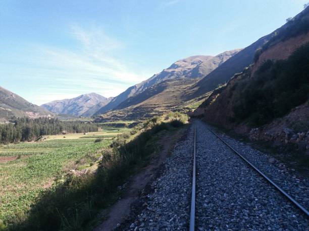istock Train tracks near bushes and corn crop 1078268042