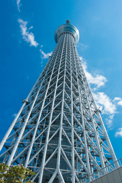 istock Tall tower tokyo sky tree with clear blue sky 1078272100