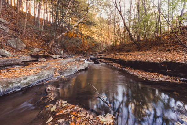 Adirondack Flowing Water Stream in Forest in Fall