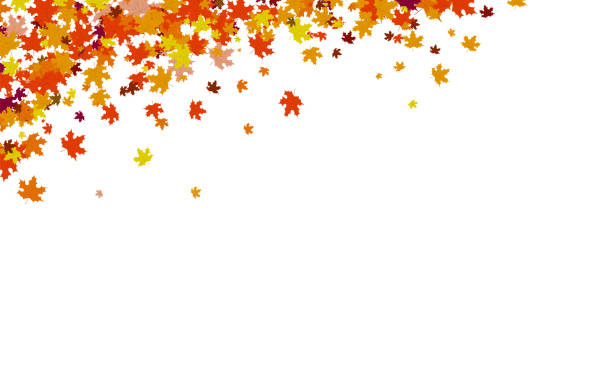 herbst hintergrund, danksagung konzept, ahornblätter scatter-cluster in natur-vektor-illustration - autumn backgrounds leaf thanksgiving stock-grafiken, -clipart, -cartoons und -symbole